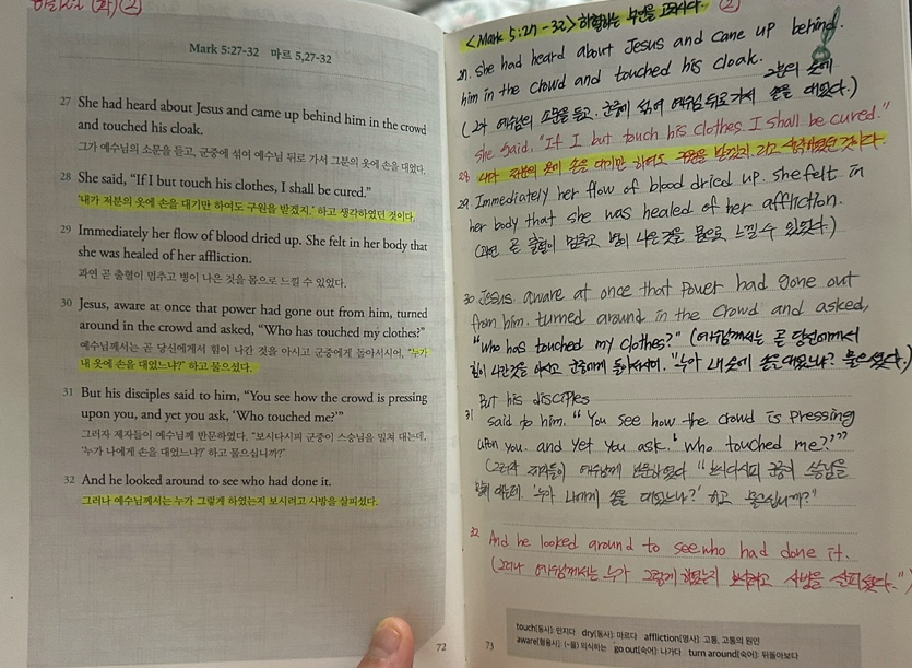 D+12 Mark 5:21-43 / 6:1-16 | Catholicbook