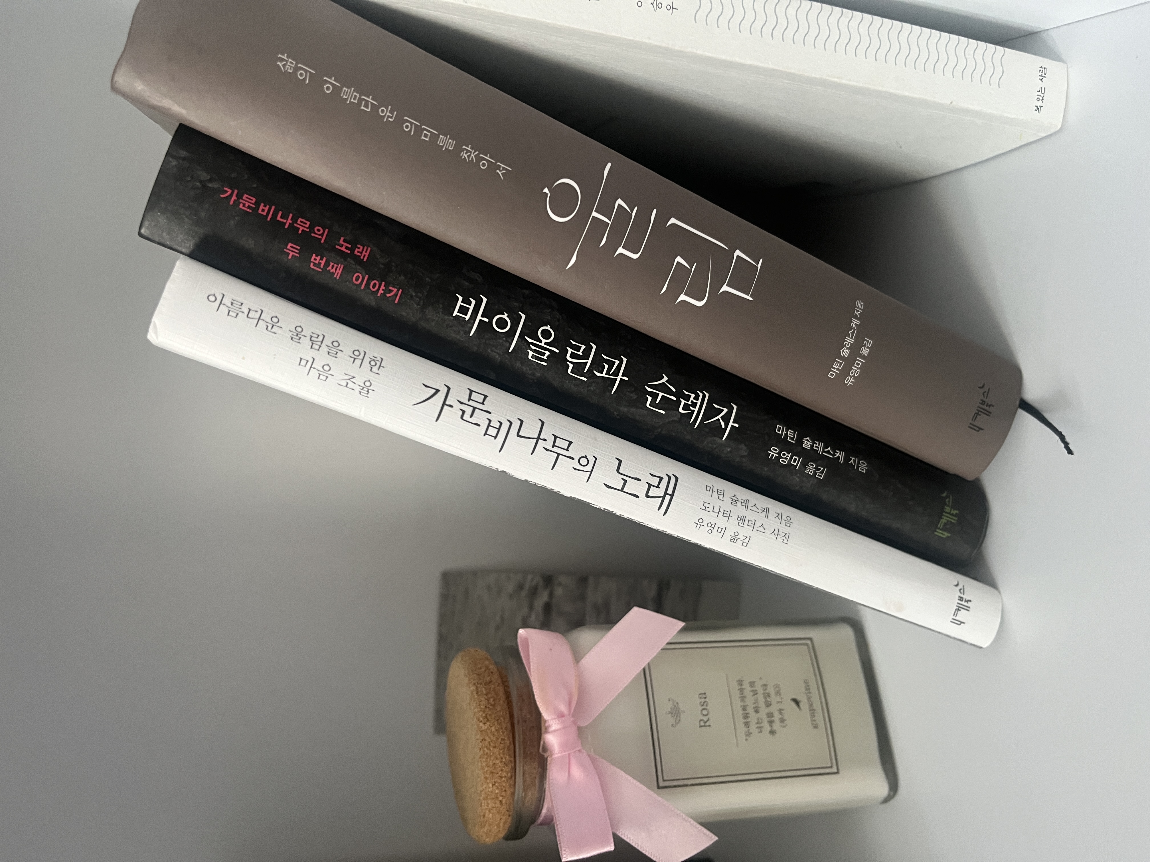 가문지나무의노래