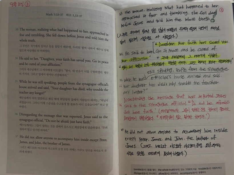 D+12 Mark 5:21-43 / 6:1-16 | Catholicbook